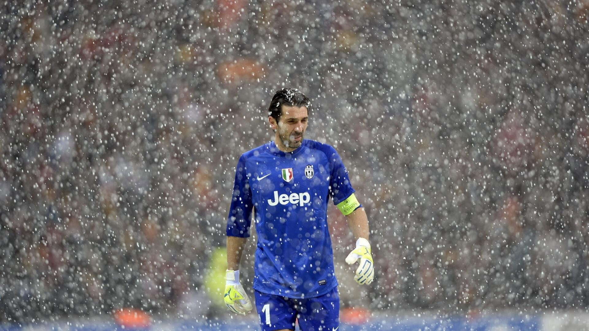 加拿大男队自由泳实力持续提升,加拿大泳手