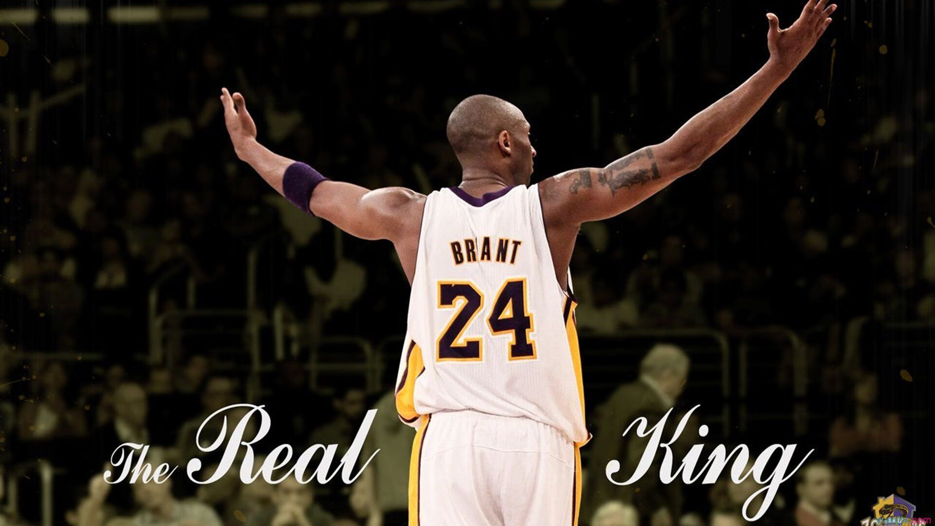 体育精神：逆境中奋起的榜样！，体育精神励志