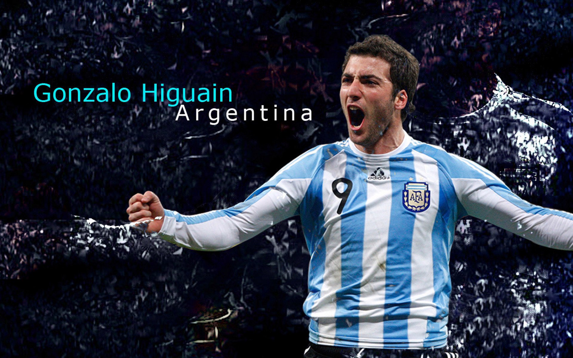 冠军球队背后的幕后团队:维护与运营故事,冠军团队是什么